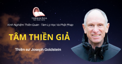 Tam-thien-gia-Joseph-Goldstein-Theravada