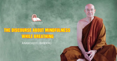 The Discourse about Mindfulness while Breathing