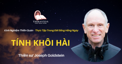 Tinh-khoi-hai-Joseph-Goldstein-Theravada