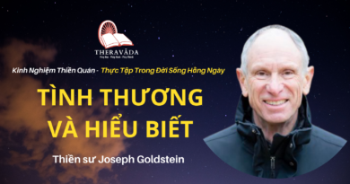 Tinh-thuong-va-hieu-biet-Joseph-Goldstein-Theravada