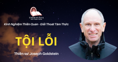 Toi-loi-Joseph-Goldstein-Theravada
