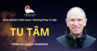 Tu-tam-Joseph-Goldstein-Theravada