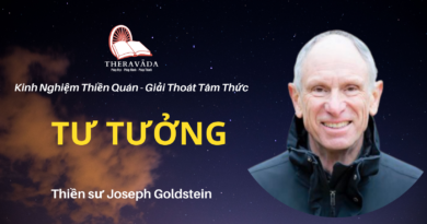 Tu-tuong-Joseph-Goldstein-Theravada