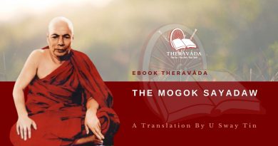 THE MOGOK SAYADAW - A TRANSLATION BY U SWAY TIN 