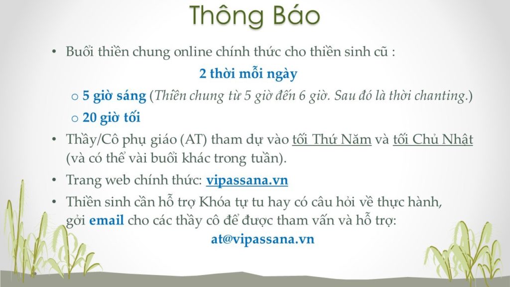 Thien Chung 5