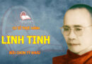 CƯ SĨ THỰC HÀNH