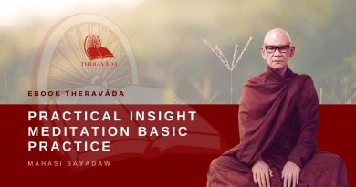 PRACTICAL INSIGHT MEDITATION BASIC PRACTICE - MAHASI SAYADAW