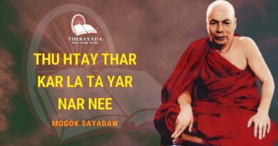 THU HTAY THAR KAR LA TA YAR NAR NEE - MOGOK SAYADAW