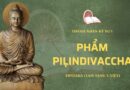 Thánh Nhân Ký Sự I – Phẩm Piḷindivaccha