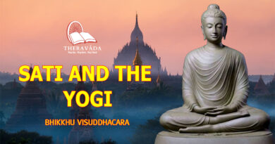 SATI AND THE YOGI - BHIKKHU VISUDDHACARA