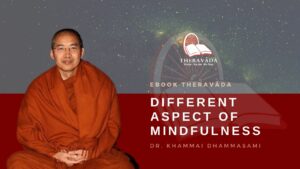 DIFFERENT ASPECT OF MINDFULNESS Sayadaw Dr K Dhammasami Theravada
