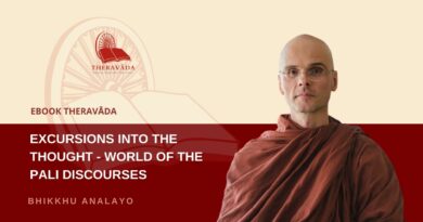 EXCURSIONS INTO THE THOUGHT WORLD OF THE PALI DISCOURSES BHIKKHU ANALAYO Theravada