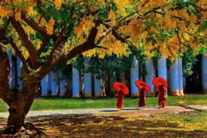 Anh Myanmar Theravada 1 2