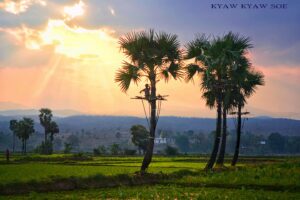 Anh Myanmar Theravada 192