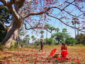 Anh Myanmar Theravada 491