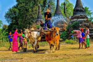 Anh Myanmar Theravada 542