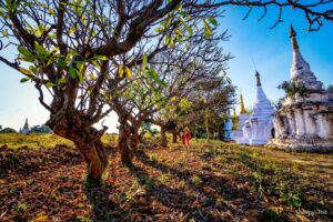 Anh Myanmar Theravada 60