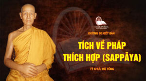 Duong Di Niet Ban Ty Khuu Ho Tong Theravada 3