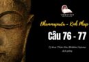 LỚP KINH PHÁP CÚ DHAMMAPADA PALI: CÂU 76-77