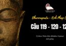 Lớp Kinh Pháp Cú Dhammapada Pali: Câu 119-120-121