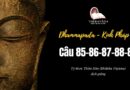 LỚP KINH PHÁP CÚ DHAMMAPADA PALI: CÂU 85-86-87-88-89