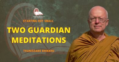 Starting Out Small - 12. Two Guardian Meditations