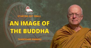 Starting Out Small - 14. An Image Of The Buddha