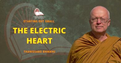 Starting Out Small - 16. The Electric Heart