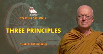 Starting Out Small - 5. Three Principles