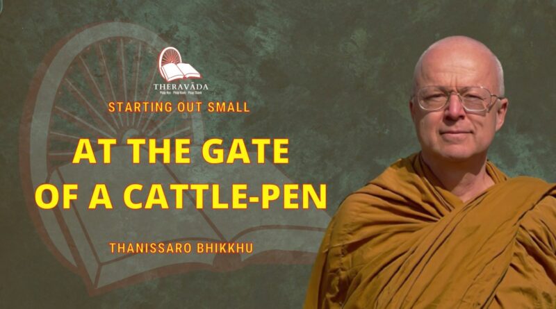 Starting Out Small - 7. At The Gate Of A Cattle-pen