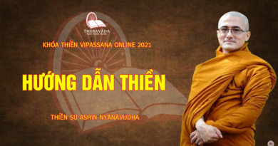 Vipassana Online: Cách Hành Thiền Vipassana, Phát Triển Tầm, Tứ - Thiền Sư Nyanavudha