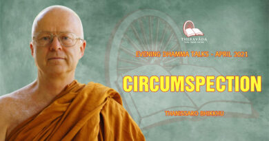 evening dhamma talk april 2021 thanissaro bhikkhu 20