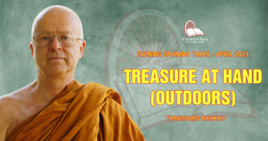 evening dhamma talk april 2021 thanissaro bhikkhu 7