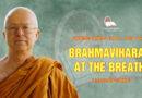 evening dhamma talk april 2021 thanissaro bhikkhu 9