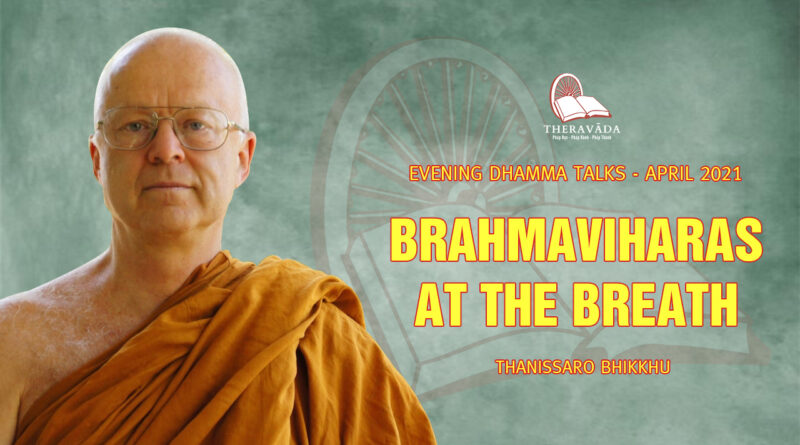 evening dhamma talk april 2021 thanissaro bhikkhu 9