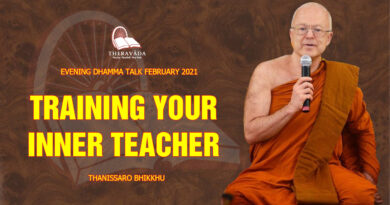 evening dhamma talk february 2021 thanissaro bhikkhu 11