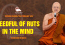 evening dhamma talk february 2021 thanissaro bhikkhu 12