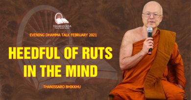 evening dhamma talk february 2021 thanissaro bhikkhu 12