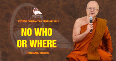 evening dhamma talk february 2021 thanissaro bhikkhu 13