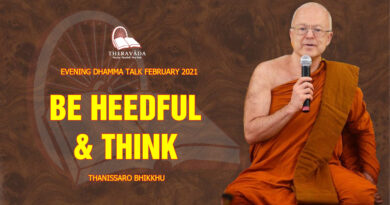 evening dhamma talk february 2021 thanissaro bhikkhu 14