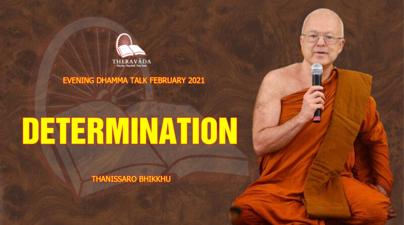 evening dhamma talk february 2021 thanissaro bhikkhu 16