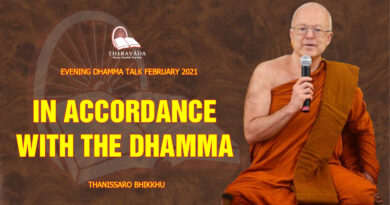 evening dhamma talk february 2021 thanissaro bhikkhu 2