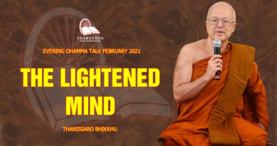 evening dhamma talk february 2021 thanissaro bhikkhu 21