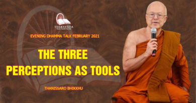 evening dhamma talk february 2021 thanissaro bhikkhu 22