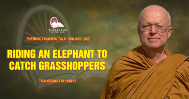 evening dhamma talk january 2021 thanissaro bhikkhu 16