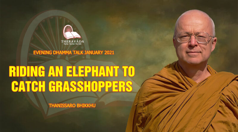 evening dhamma talk january 2021 thanissaro bhikkhu 16