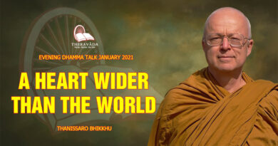evening dhamma talk january 2021 thanissaro bhikkhu 23