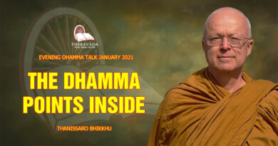 evening dhamma talk january 2021 thanissaro bhikkhu 24