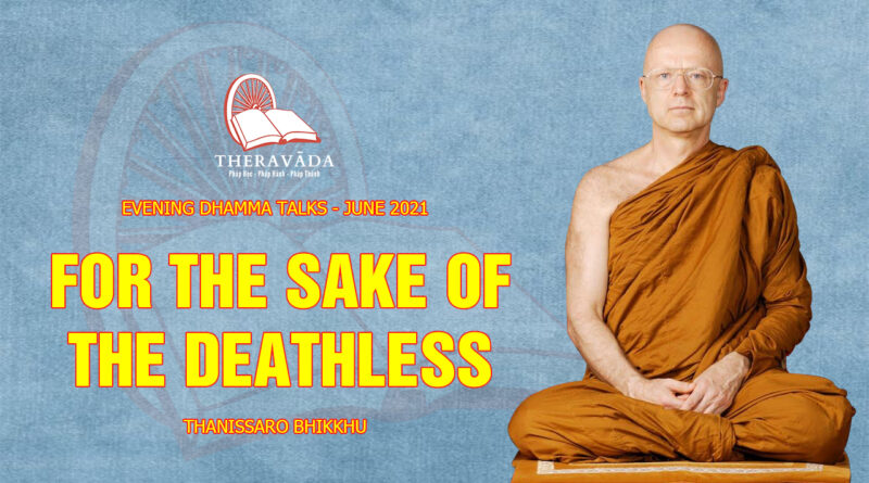 evening dhamma talk june 2021 thanissaro bhikkhu 3