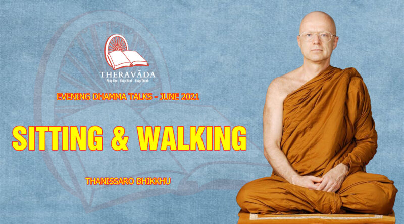 evening dhamma talk june 2021 thanissaro bhikkhu 9